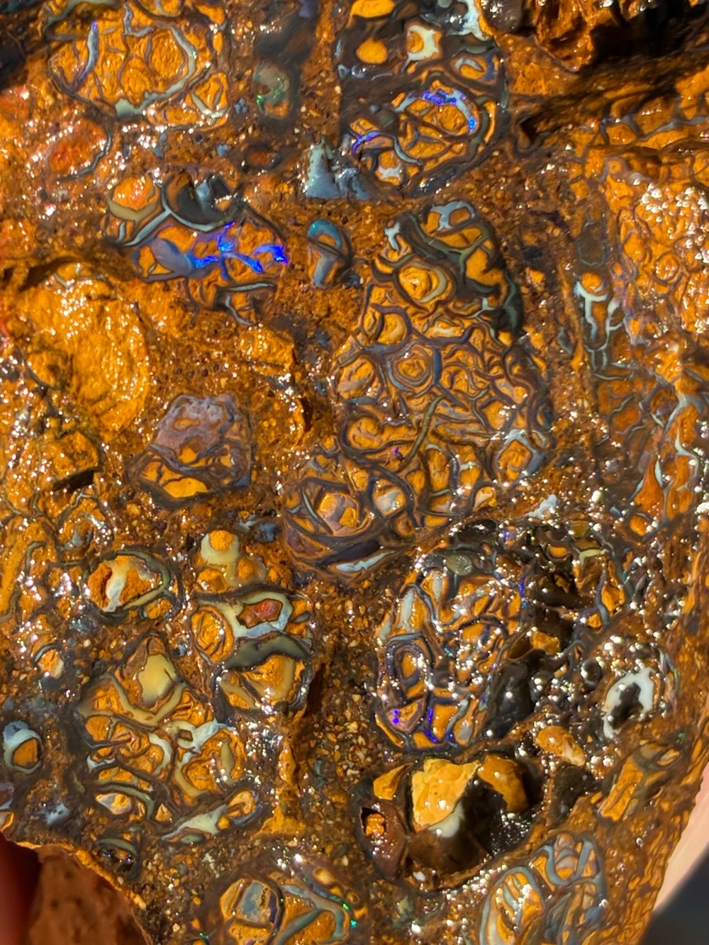 Pretty 581ct Large Australian Boulder Opal Rough Loose Specimen